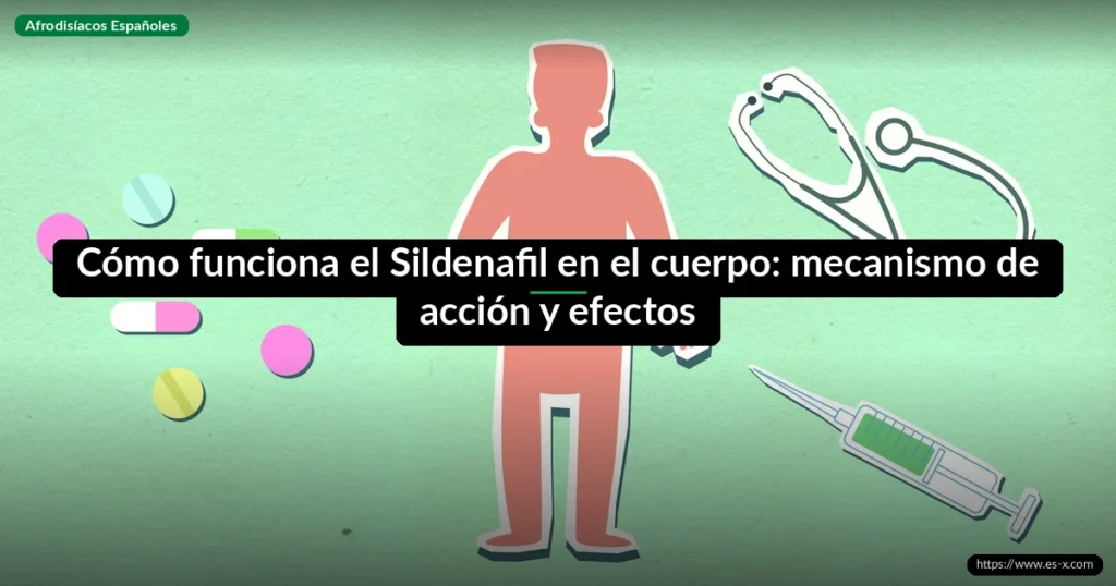 Cómo funciona el Sildenafil en el cuerpo: mecanismo de acción y efectos