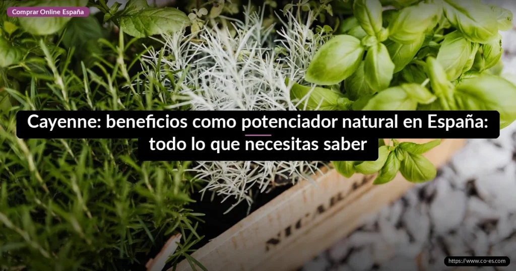 Cayenne: beneficios como potenciador natural en España: todo lo que necesitas saber